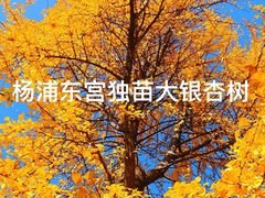 -沪东工人文化宫