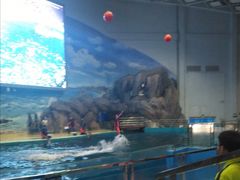 -福州罗源湾海洋世界旅游区