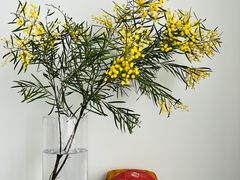 -厦门国家会计学院