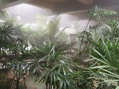 -三江森林温泉度假区