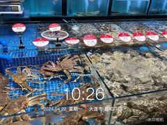-将相和·海鲜蒸饺大连菜