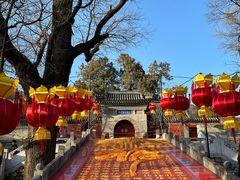 -红螺寺
