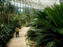 -石家庄市植物园