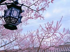 -碑林公园