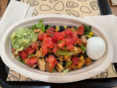 -油梨树 AVOCADO TREE(亮马桥店)