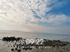 -深圳湾公园(南山区)