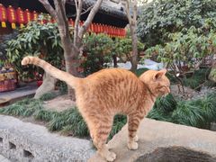 -龙华素斋(龙华路店)