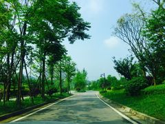 -成都蒲江花样年福朋喜来登度假酒店·宜客乐西餐厅