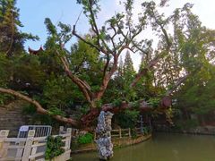 -汇龙潭