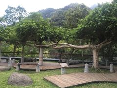 -太鲁阁公园