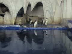 -太平洋海底世界