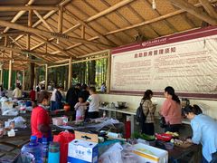 -武陵山森林公园