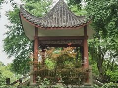 -大渡口区义渡公园