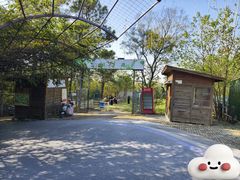 -大塘金香草谷