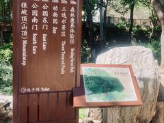 -北宫国家森林公园