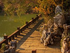 -八大山人梅湖景区