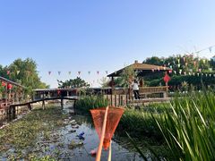 -同銮特种养殖场·龙虾垂钓