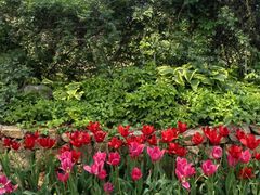 -国家植物园南园