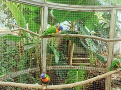 -大连森林动物园