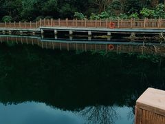 -桃花岭景区