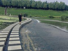 -洨河生态公园