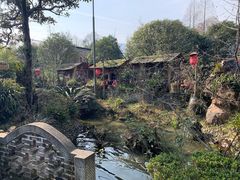 -青城甲(青城山店)