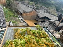 -杨家堂村