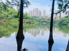 -重庆彩云湖湿地公园