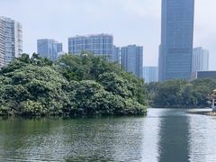 -荔枝公园(福田区)