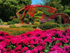 -上海共青森林公园