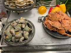 扇贝-西藏饭店·亚克·食光自助餐厅(文殊院店)