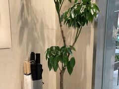 -M Stand(南京新街口金鹰店)