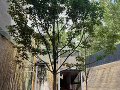 -艾儿思国际幼托园(双井园店)