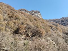 -少华山国家森林公园
