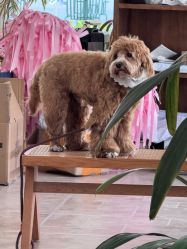 -WAVE SODA摄影工作室