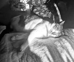 -长沙纹身·龙堂刺青·三土师傅的店