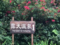 -龙山酒店温泉