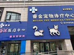 -睿金宠物医院·CT·肿瘤·骨外科
