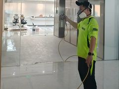 -绿色亿家除甲醛机构