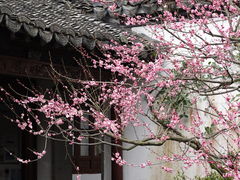 -郭庄景区