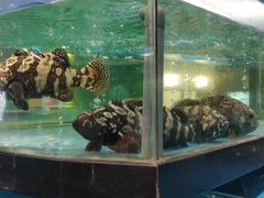 -都市阳光海鲜城(青山湖店)