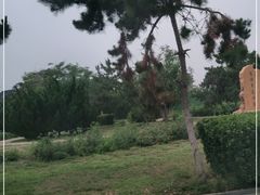 -蓬莱仙岛