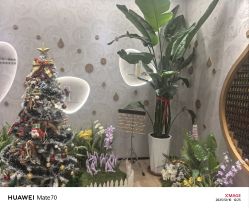 -dōTERRA多特瑞精油生活馆