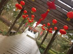 -白马涧龙池景区