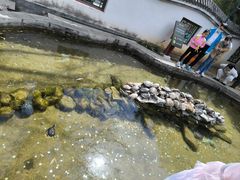 -红螺寺