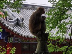 -黔灵山公园