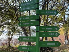 -金鸡湖桃花岛
