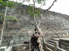 -昆明市金殿名胜区