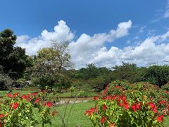 -中国科学院西双版纳热带植物园