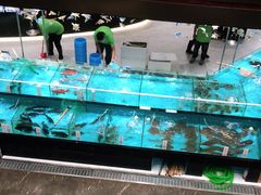 -尖沙咀酒店(大沥店)